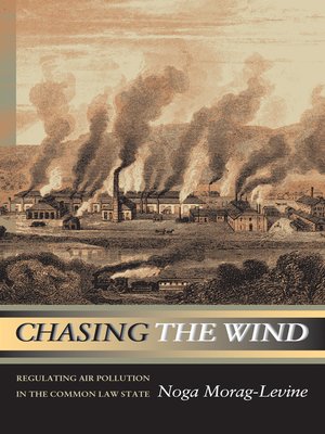 cover image of Chasing the Wind